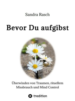 cover image of Bevor Du aufgibst